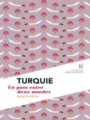 cover image of Turquie